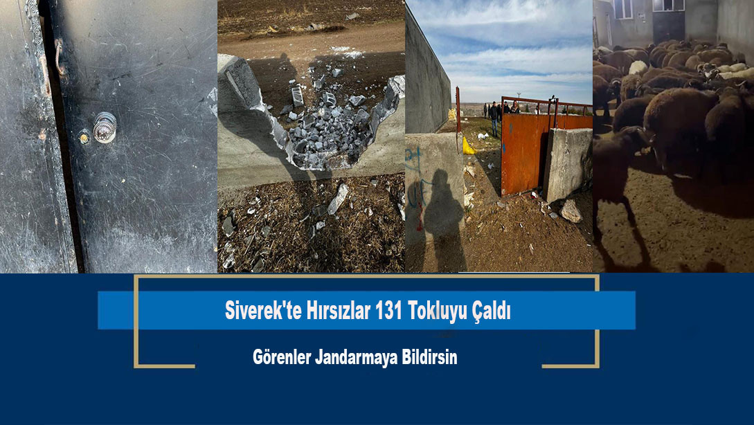 Siverek'te Hırsızlar 131 Tokluyu Çaldı